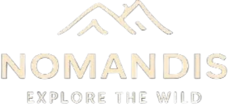 Nomandis Logo
